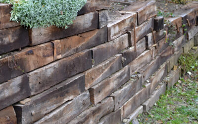 What Maintenance Tips Can Extend the Life of a Timber Wall?